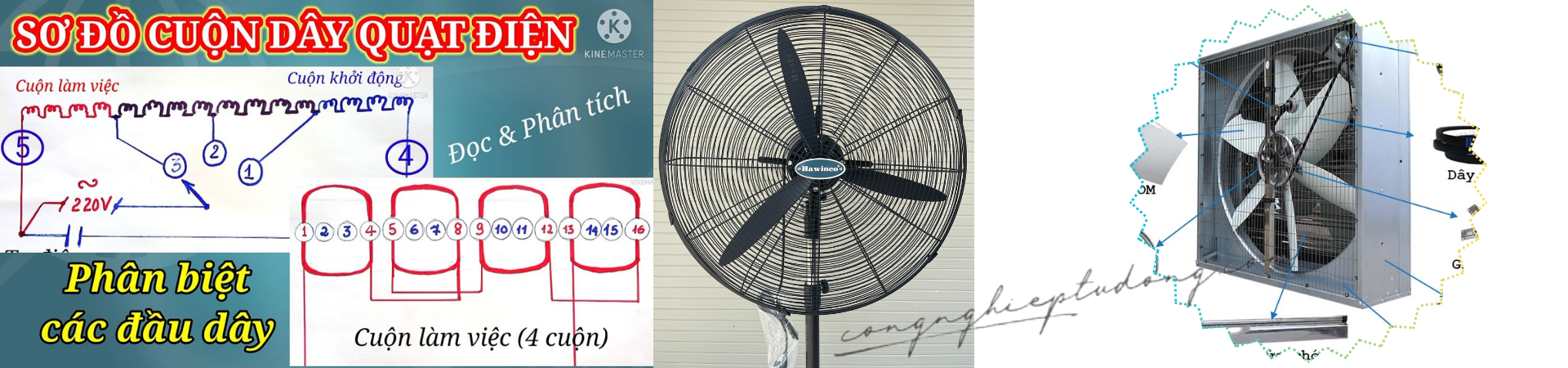 Hướng dẫn đấu điện cho quạt công nghiệp ra 5 đầu dây, tốc độ 1400v/p