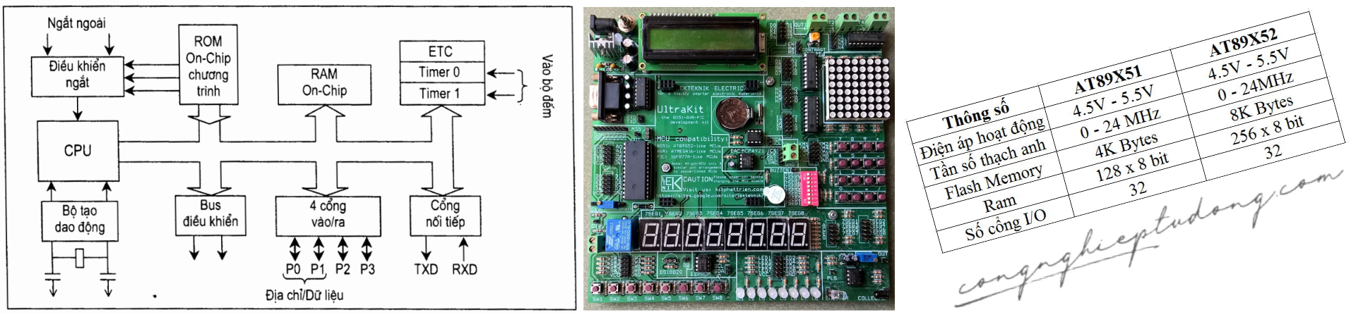Giới thiệu cơ bản về IC 8051 và tập lệnh ASM